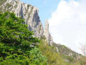 photo coins arrondis